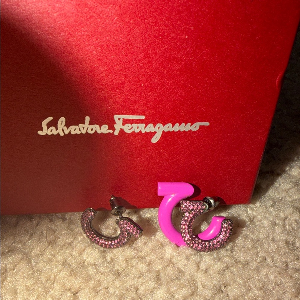 Salvatore Ferragamo Pink and Silver Earrings